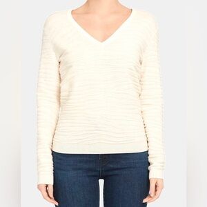 Theory Wool V-Neck Sweater in Plush Zebra Ivory S